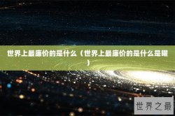 世界上最廉价的是什么（世界上最廉价的是什么是曜）
