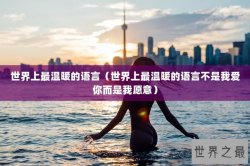世界上最温暖的语言（世界上最温暖的语言不是我爱你而是我愿意）