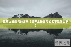 世界上最霸气的名字（世界上最霸气的名字是什么字）