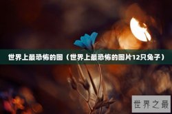 世界上最恐怖的图（世界上最恐怖的图片12只兔子）