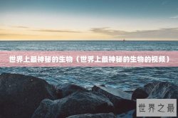 世界上最神秘的生物（世界上最神秘的生物的视频）