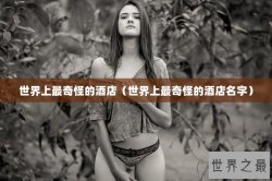 世界上最奇怪的酒店（世界上最奇怪的酒店名字）