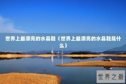 世界上最漂亮的水晶鞋（世界上最漂亮的水晶鞋是什么）
