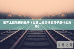 世界上最恐怖的兔子（世界上最恐怖的兔子是什么兔子）