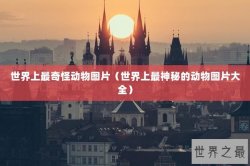 世界上最奇怪动物图片（世界上最神秘的动物图片大全）