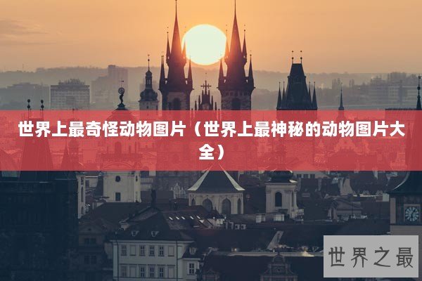 世界上最奇怪动物图片（世界上最神秘的动物图片大全）
