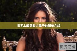 世界上最萌的小兔子的简单介绍