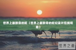 世界上最致命的蛇（世界上最致命的蛇纪录片在线观看）