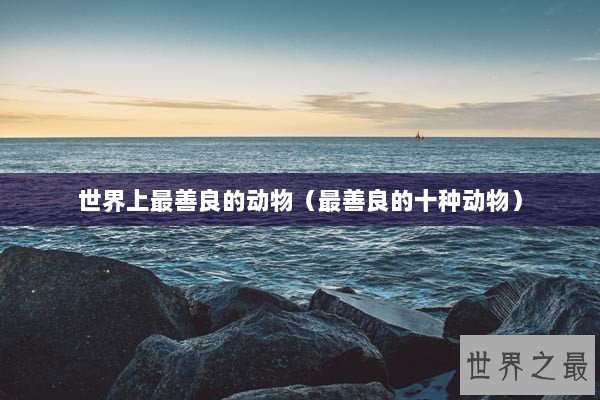 世界上最善良的动物（最善良的十种动物）
