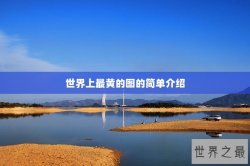 世界上最黄的图的简单介绍