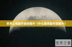 世界上性最开放的图片（什么国家最开放图片）