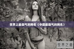 世界上最霸气的网名（中国最霸气的网名）