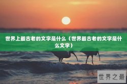 世界上最古老的文字是什么（世界最古老的文字是什么文字）