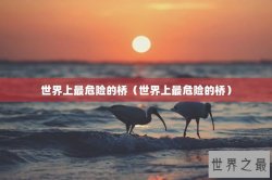 世界上最危险的桥（世界上最危险的桥）