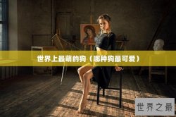 世界上最萌的狗（哪种狗最可爱）