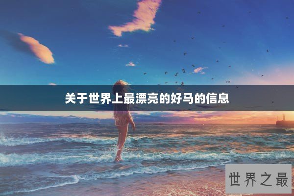 关于世界上最漂亮的好马的信息
