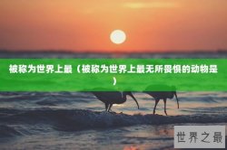 被称为世界上最（被称为世界上最无所畏惧的动物是）