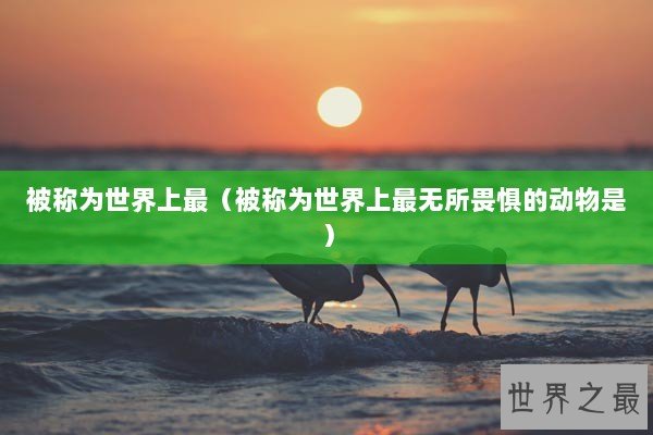 被称为世界上最（被称为世界上最无所畏惧的动物是）