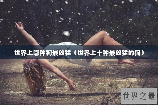 世界上哪种狗最凶猛（世界上十种最凶猛的狗）