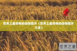 世界上最恐怖的动物图片（世界上最恐怖的动物图片大全）