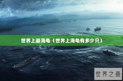 世界上最海龟（世界上海龟有多少只）