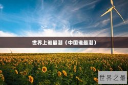 世界上谁最潮（中国谁最潮）