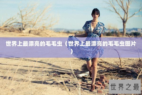 世界上最漂亮的毛毛虫（世界上最漂亮的毛毛虫图片）