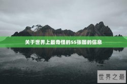 关于世界上最奇怪的55张图的信息