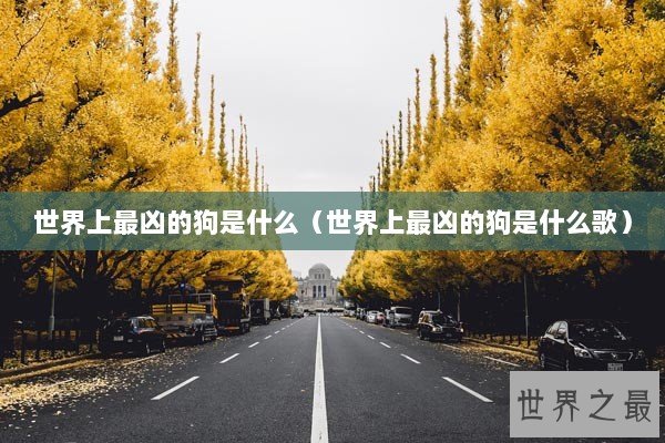世界上最凶的狗是什么（世界上最凶的狗是什么歌）