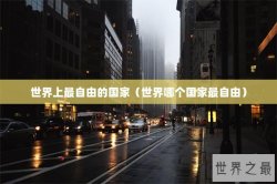 世界上最自由的国家（世界哪个国家最自由）