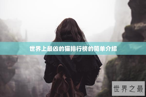 世界上最凶的猫排行榜的简单介绍