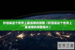 秒回是这个世界上最温暖的技能（秒回是这个世界上最温暖的技能图片）