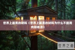 世界上最黑的材料（世界上最黑的材料为什么不能用肉眼看清）