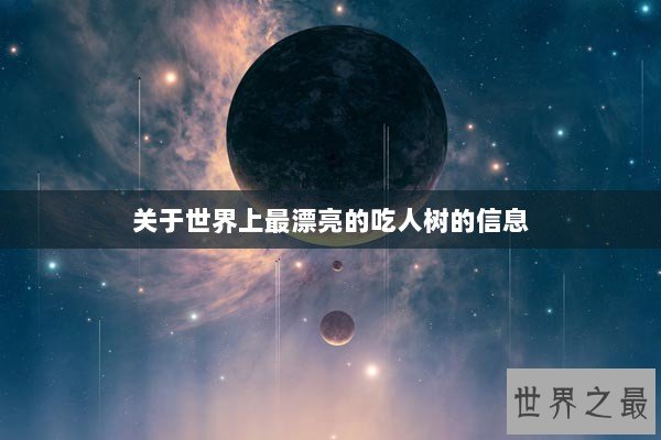 关于世界上最漂亮的吃人树的信息