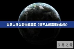 世界上什么动物最温柔（世界上最温柔的动物）