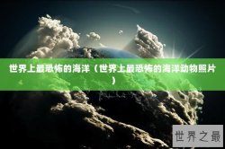 世界上最恐怖的海洋（世界上最恐怖的海洋动物照片）