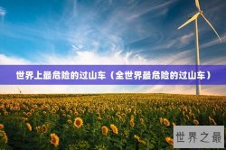 世界上最危险的过山车（全世界最危险的过山车）