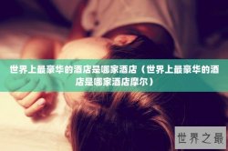 世界上最豪华的酒店是哪家酒店（世界上最豪华的酒店是哪家酒店摩尔）