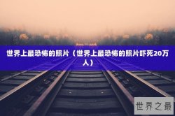 世界上最恐怖的照片（世界上最恐怖的照片吓死20万人）