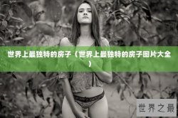 世界上最独特的房子（世界上最独特的房子图片大全）