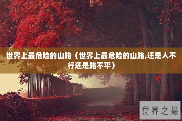 世界上最危险的山路（世界上最危险的山路,还是人不行还是路不平）
