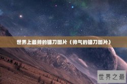 世界上最帅的镰刀图片（帅气的镰刀图片）