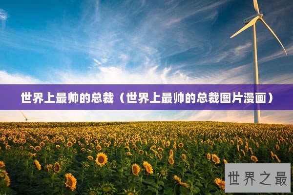 世界上最帅的总裁（世界上最帅的总裁图片漫画）