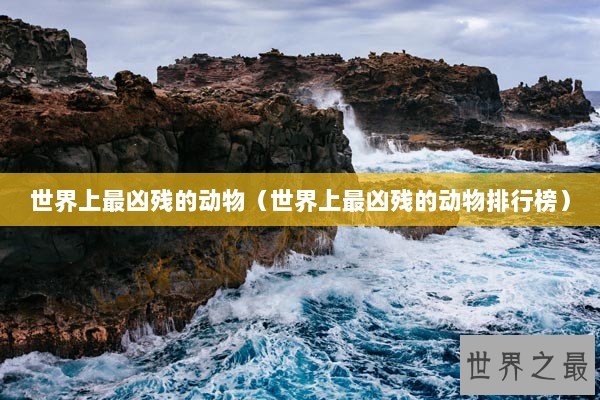 世界上最凶残的动物（世界上最凶残的动物排行榜）