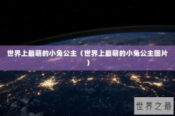 世界上最萌的小兔公主（世界上最萌的小兔公主图片）