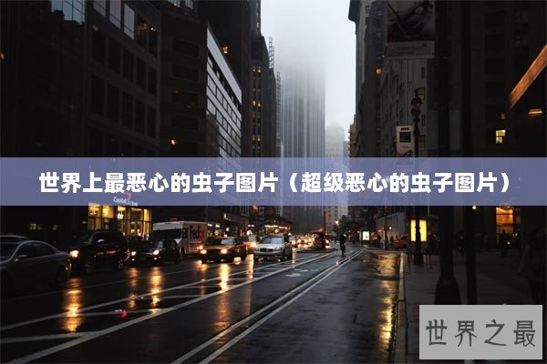 世界上最恶心的虫子图片（超级恶心的虫子图片）