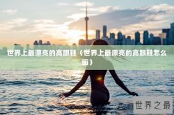 世界上最漂亮的高跟鞋（世界上最漂亮的高跟鞋怎么画）