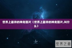 世界上最帅的神龙图片（世界上最帅的神龙图片,叫什么）