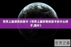 世界上最漂亮的发卡（世界上最好看的发卡长什么样子,图片）