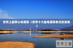 世界上最恶心的蘑菇（世界十大最毒蘑菇看见赶紧跑）